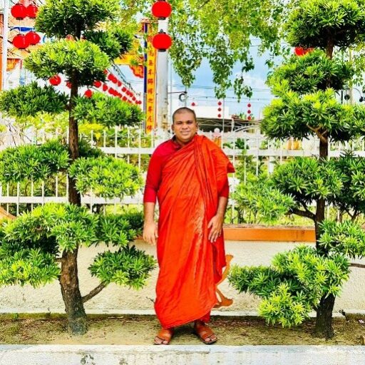 Raja Pujitha Most Ven. Dr. Theppanawe Piyadassi Nayaka Thero